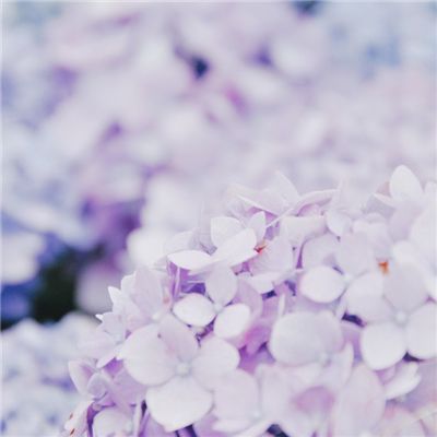 迷域行者手游(暂未上线)v1.2.0 安卓版